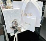 هانقر Dior