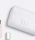 حقيبة DIOR